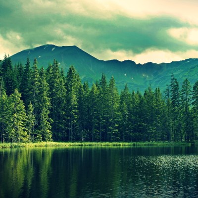 1920 x 1080 HD Wallpapers 2621